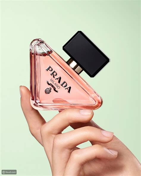 prada paradoxe perfume release date|prada paradoxe perfume ingredients.